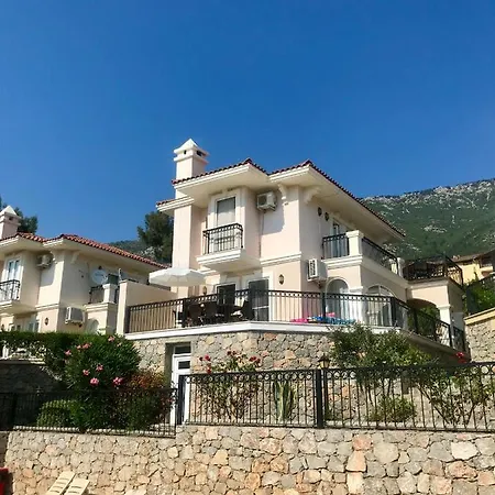 Artemisia * Ovacik (Fethiye)